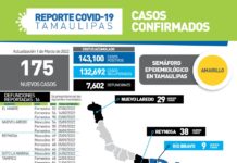 175 nuevos casos y 16 fallecimientos