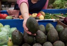 Carestía sin límites; aguacate a 100 pesos y limón a 90