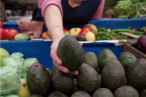 aguacate