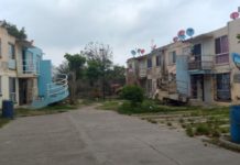 Dolor de cabeza presencia de caballos y perros en la Puerto Escondido