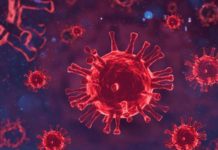 Grupo sanguíneo tipo A es más propenso a tener COVID grave: Estudio