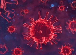 Grupo sanguíneo tipo A es más propenso a tener COVID grave: Estudio