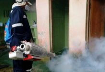 Tamaulipas sigue libre del dengue; de 18 casos sospechosos no se confirma ninguno
