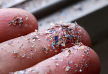 Encuentran por primera vez restos de microplásticos en la sangre humana: estaban presentes en el 80 % de las personas analizadas