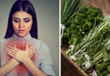 5 plantas para fortalecer tus pulmones y cómo las debes utilizar