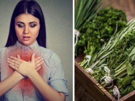5 plantas para fortalecer tus pulmones y cómo las debes utilizar