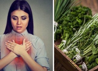 5 plantas para fortalecer tus pulmones y cómo las debes utilizar