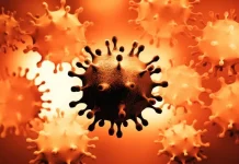 Los virus que pueden permanecer escondidos en el cuerpo y causar problemas décadas después (y qué pasa con el coronavirus)