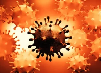 Los virus que pueden permanecer escondidos en el cuerpo y causar problemas décadas después (y qué pasa con el coronavirus)