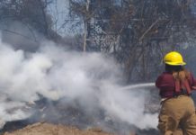 Decenas de hectáreas siniestradas por 70 incendios en zona rural