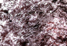 Científicos aseguran haber encontrado los signos de vida más antigua de la Tierra: de hace 4.280 millones de años