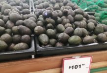 Carestía sin freno; kilo de aguacate rebasa los 100 pesos