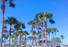 Alistan centro recreativo La Playita para Semana Santa