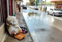 Ambientalistas siguen exhortando a cuidar el medio ambiente
