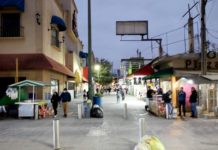Comercio informal de la peatonal espera ganancias en periodo vacacional