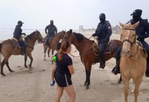 Zona norte de playa Miramar será vigilada a caballo