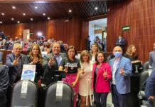 Decirle No a la Reforma Eléctrica, fue decirle Sí al desarrollo y al empleo en Tamaulipas: Rosa González