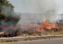Incendios en pastizales no cesan dejan daños y contaminación ambiental