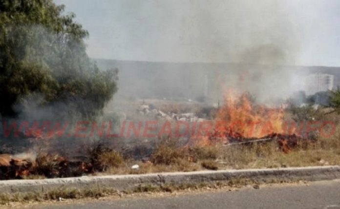 Incendios en pastizales no cesan dejan da_os y contaminaci_n ambiental