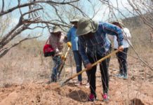 Han desaparecido 8 mujeres en Tamaulipas