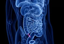 Por qué el apéndice no es tan inútil como se pensó durante décadas