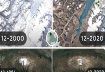 Google celebra a la tierra con un doodle sobre los efectos del cambio climático