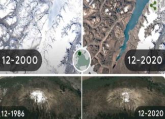 Google celebra a la tierra con un doodle sobre los efectos del cambio climático