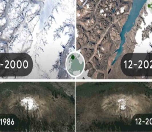 Google celebra a la tierra con un doodle sobre los efectos del cambio climático