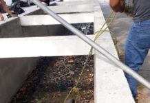 Bomberos de Madero atrapan otro cocodrilo