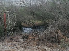 Se registra derrame de petróleo crudo