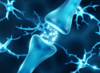 Dopamina, el neurotransmisor que nos da la felicidad, pero también nos la quita