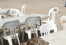 Alerta por presencia de enjambres de abejas africanas