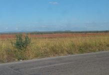 Guerra en Ucrania frena producción de agroquímicos y su exportación a México