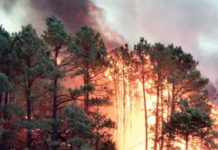 Lluvias medio apagan los incendios