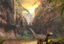 Descubren en EE.UU. los restos fosilizados de un dinosaurio que se cree que murió el día que cayó un asteroide a la Tierra