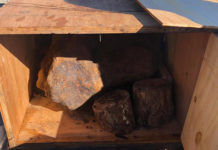 Un meteorito que cayó hace unos 4.000 años en Argentina es incautado en Uruguay y su valor sería de 1 millón de dólares