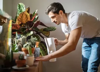 Por qué pequeñas tareas como regar las plantas o doblar la ropa son tan terapéuticas