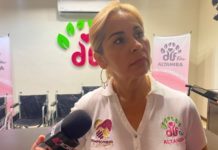 Sigue violencia en contra de mujeres y niños
