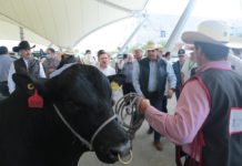 Convoca Gobernador Francisco García Cabeza de Vaca a ganaderos de México a seguir fortaleciendo el sector