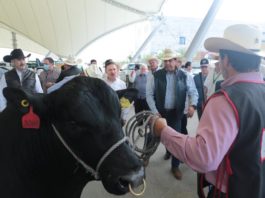 Convoca Gobernador Francisco García Cabeza de Vaca a ganaderos de México a seguir fortaleciendo el sector