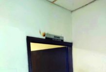 Arrestan a sujeto por alterar el orden y escandalizar