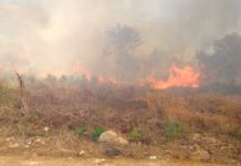Bomberos acuden a sofocar incendio en predio baldío