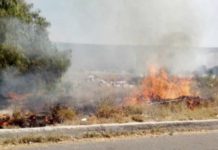 Bomberos siguen sofocando incendios en predios y pastizales