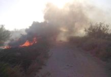Bomberos sofocan pastizales en predios baldíos
