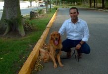 Presenta Mon Marón iniciativa para promover la adopción de animales sin hogar