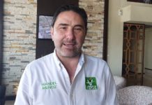 Partido Verde cree ganar solo la Senaduría, no hace alianza con Morena