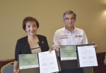 La seguridad será una prioridad en mi gobierno: Américo