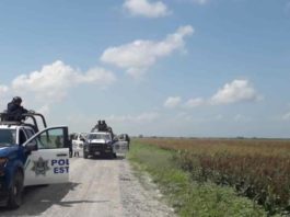 “Blindarán” la cosecha de sorgo para evitar robos