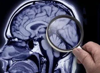 Por qué los humanos hace 3.000 años tenían el cerebro más grande que el nuestro