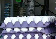 Insuficiente incremento salarial a trabajadores ante el alza de los productos de la canasta básica
